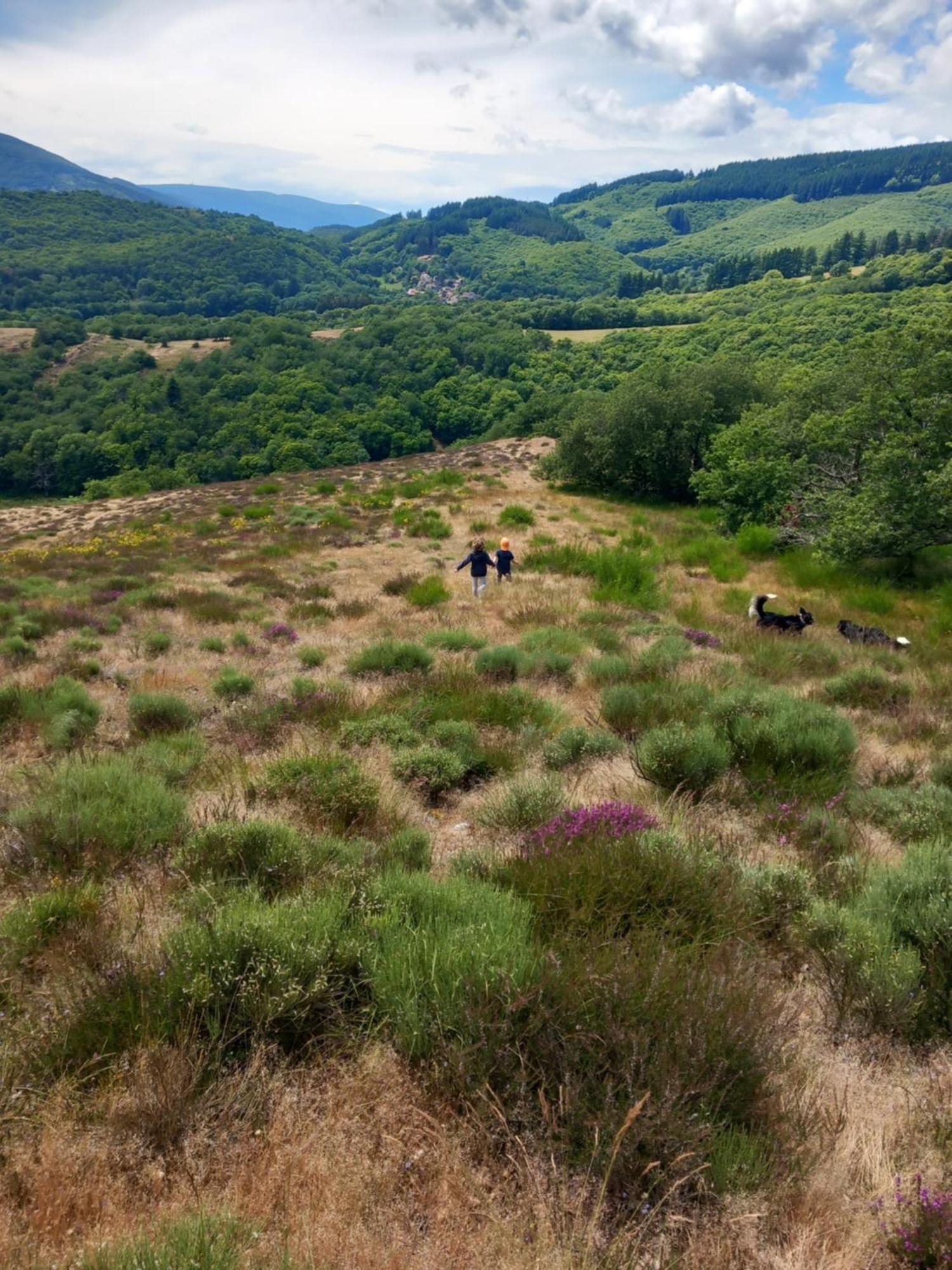 Nabat Le Haut, Chambre Et Table D'Hotes Courniou ภายนอก รูปภาพ